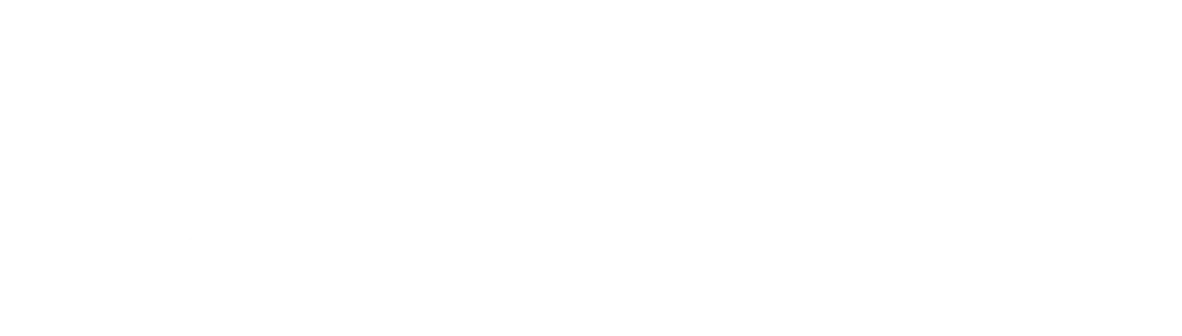 AIM Electronics
